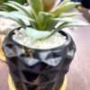 ⁦فازة زرع بورسلين اشكال رخامي بالزرع⁩ - الصورة ⁦5⁩