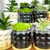 ⁦فازة زرع بورسلين اشكال رخامي بالزرع⁩ - الصورة ⁦6⁩